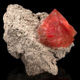 Fluorita
32 x 42 x 26 cm / cristal principal: 18.4 cm
(Autor: Museo MIM)