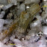 Fluorapatito
2´503 x 2´293 mm.
(Autor: Jesus Franquesa Baucells)