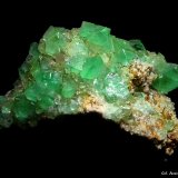 Fluorita.
52x51 mm.
(Autor: Jesus Franquesa Baucells)