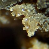 Fosfohedifana.
Campo de visión 2 mm. aproximadamente.
(Autor: Carles Rubio)