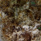Fosfohedifana.
5´973 x 5´084 mm.
(Autor: Jesus Franquesa Baucells)