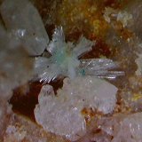 Fosfohedifana (Phosphohedyphana)
1´615 x 1´270 mm.
(Autor: Jesus Franquesa Baucells)