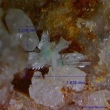 Fosfohedifana (Phosphohedyphana)
1´615 x 1´270 mm.
(Autor: Jesus Franquesa Baucells)