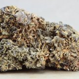 Franckeita
38x23 mm
(Autor: Juan Espino)