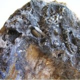 Freieslebenita con Pirargirita, Galena y Tetraedrita sobre Cuarzo y Baritina
Tamaño de la pieza: 8x8x4 cm, con cristales de Freieslebenita hasta 1 cm.
(Autor: Nacho)