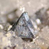 Freibergita, Cuarzo
Cristal 3 x 3 mm
(Autor: carles)