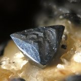 Freibergita
FOV 1 cm
(Autor: Cesar M. Salvan)