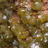 Mimetita
Campo de visión de 10 mm.
(Autor: Antonio Carmona)