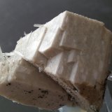 Milarita, Microclina
45x30mm
(Autor: Carlos G. Bargueño)