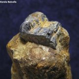 Galena
Arista del cubo 1,2 cm.
(Autor: Frederic Varela)
