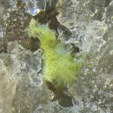 Agardita-(Y)
Campo de visión de 2 mm
(Autor: Antonio Carmona)