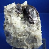Gadolinita-(Y)
50x35mcm.; cristal 20x15 mm.
(Autor: Jesus Franquesa Baucells)