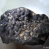 Galena y Cerusita.
120x85 mm.
(Autor: Jesus Franquesa Baucells)