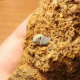 Galena
7 cm x 4 cm
(Autor: Javi Llamazares)
