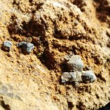Galena
10 cm x 5 cm
(Autor: Javi Llamazares)