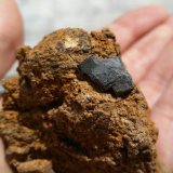 Galena
6 cm x 6 cm
(Autor: Javi Llamazares)