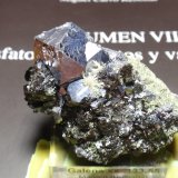 Galena
50x35 mm
(Autor: Ignacio)