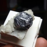 Galena
35x20 mm
(Autor: Ignacio)