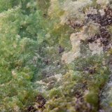 Garnierita, Cromita y Niquelina.
Campo de visión de 10 mm
(Autor: Antonio Carmona)