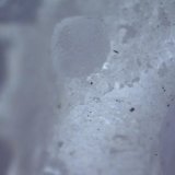 Fluorita
Cristal de 1,2 mm.
(Autor: Jose Bello)