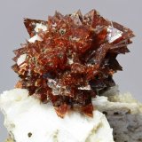 Genthelvita
cristal 20x20 mm
(Autor: Ramon A  Lopez Garcia)