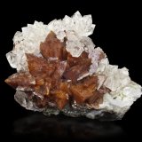 Genthelvita con Cuarzo
6 x 5 x 5 cm / Cristal principal: 1.6 cm.
(Autor: Museo MIM)