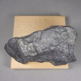 Geocronita
10,1 x 5,6 x 4 cm.  404 g.
(Autor: J. G. Alcolea)