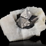 Gersdorffita en Calcita
8 x 7 x 3 cm / Cristal principal: 2 cm.
(Autor: Museo MIM)