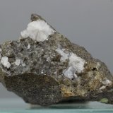 Gismondina
28x18 mm
(Autor: Juan Espino)