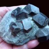 Granate (variedad almandino)
Valle Gaisberg, Obergurgl, Valle Gurgler, Valle Ötz, Tirol Norte, Tirol, Austria
7 x 5 cm,
(Autor: javier ruiz martin)