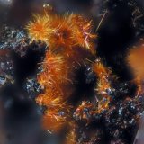 Goethita
FOV 1.5 mm
(Autor: Cesar M. Salvan)