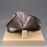 Goethita
8,3 × 6,5 × 3,7 cm.  408 g.
(Autor: J. G. Alcolea)