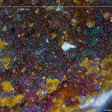 Goethita y Wulfenita.
2´967 x 2´582 mm.
(Autor: Jesus Franquesa Baucells)