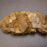 Goethita pseudo Pirita
7 x 3,5 x 1 cm
(Autor: Antonio Alcaide)
