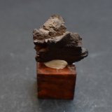 Goethita pseudomórfica de Marcasita
3 x 2,5 x 1,5 cm
(Autor: Antonio Alcaide)