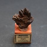 Goethita pseudomórfica de Marcasita
2,5 x 2,5 x 1 cm
(Autor: Antonio Alcaide)