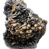 Goethita
7x8x4.5 cm
(Autor: Luis Edmundo Sánchez Roja)