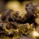 Goethita, oro
1.5 mm
(Autor: Cesar M. Salvan)