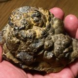 Goethita
Complejo minero histórico de Somorrostro, Vizcaya / Bizkaia, País Vasco (Euskadi), España
10 x 7 cm
(Autor: Matias Raja)