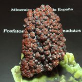 Goethita
50x80 mm
(Autor: Ignacio)