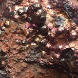 Goethita
Minas de Tharsis, Tharsis, Alosno, Comarca El Andévalo, Huelva, Andalucía, España
8 x 8 cm
(Autor: Matias Raja)