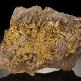 Oro
12cm de dimensión mayor
(Autor: Raul Vancouver)