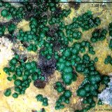 Goldhillita.
7´32 x 5´33 mm.
(Autor: Jesus Franquesa Baucells)