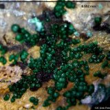 Goldhillita.
6´69 x 5´42 mm.
(Autor: Jesus Franquesa Baucells)