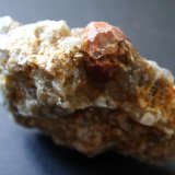 Granate
Pieza de 6 cm., cristal de 2 cm.
(Autor: canada)