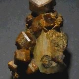 Granate (Grupo)
25x9 mm.
(Autor: Jesus Franquesa Baucells)