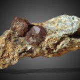 Granate (Grupo)
8cm x 4cm x 3cm  Grupo de cristales de 3cm
(Autor: srm13151)