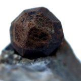 Granate
30 x 20 x 11 mm.
(Autor: José Luis Zamora)