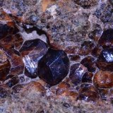 Grossularia (Grupo Granate)
Cristal mayor 9 x 6 mm.
(Autor: Quexigal)