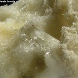 Yeso
Cristal 1,5 x 0,5 cm.
(Autor: Frederic Varela)